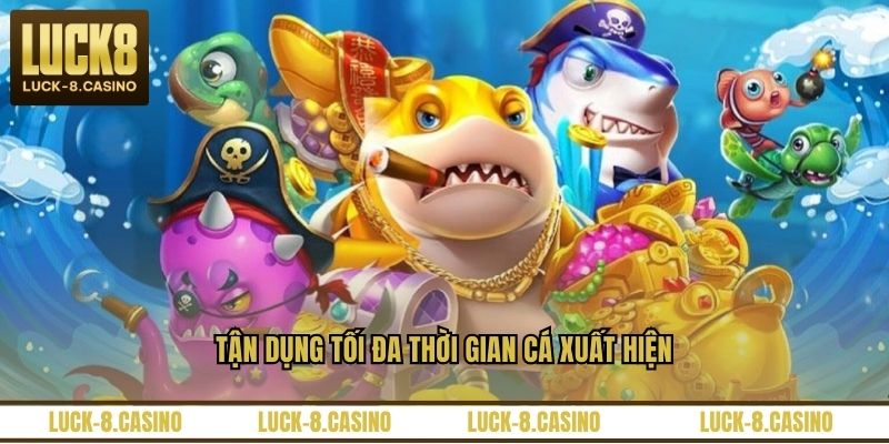 Tận dụng tối đa thời gian cá xuất hiện