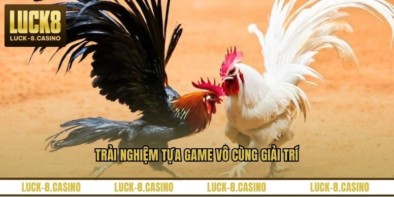 Trải nghiệm tựa game vô cùng giải trí