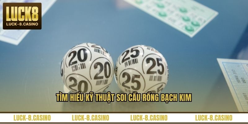 Tìm hiểu kỹ thuật soi cầu Rồng Bạch Kim