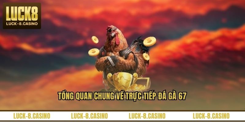 Tổng quan chung về trực tiếp đá gà 67